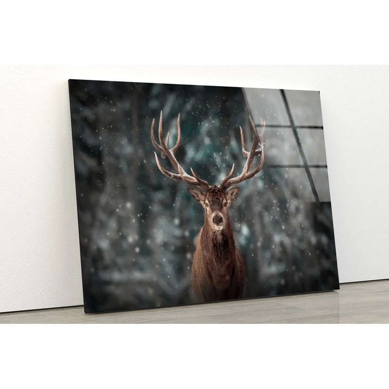 Deer Closeup Photograph Acrylic Glass Print Tempered Glass Wall Art 100% Made in Australia Ready to Hang