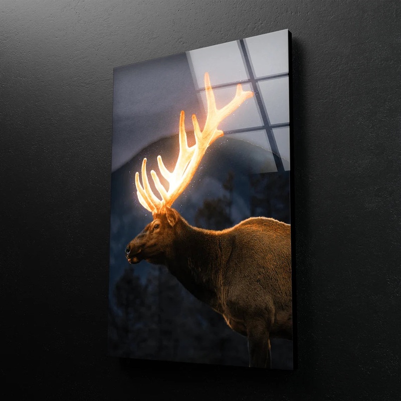 Deer with Shiny Antler Acrylic Glass Print Tempered Glass Wall Art 100% Made in Australia Ready to Hang