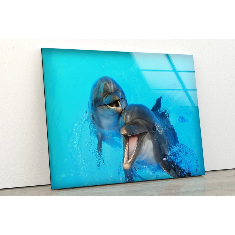 Dolphins in Water Photograph Acrylic Glass Print Tempered Glass Wall Art 100% Made in Australia Ready to Hang