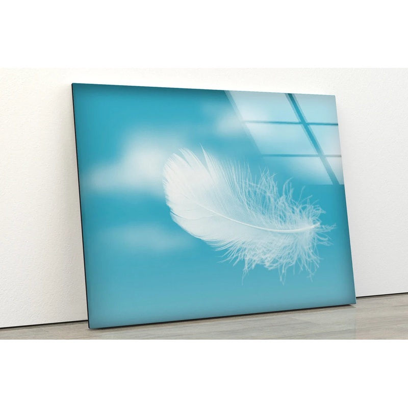 Feather Photograph Acrylic Glass Print Tempered Glass Wall Art 100% Made in Australia Ready to Hang