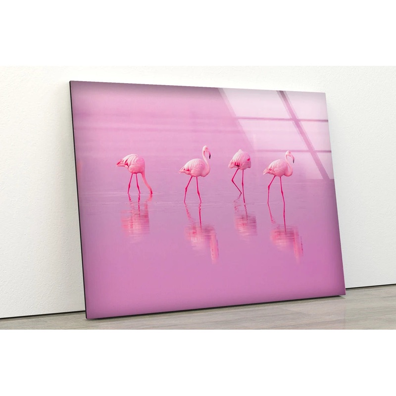 Flamingo Birds on Water Photograph Acrylic Glass Print Tempered Glass Wall Art 100% Made in Australia Ready to Hang