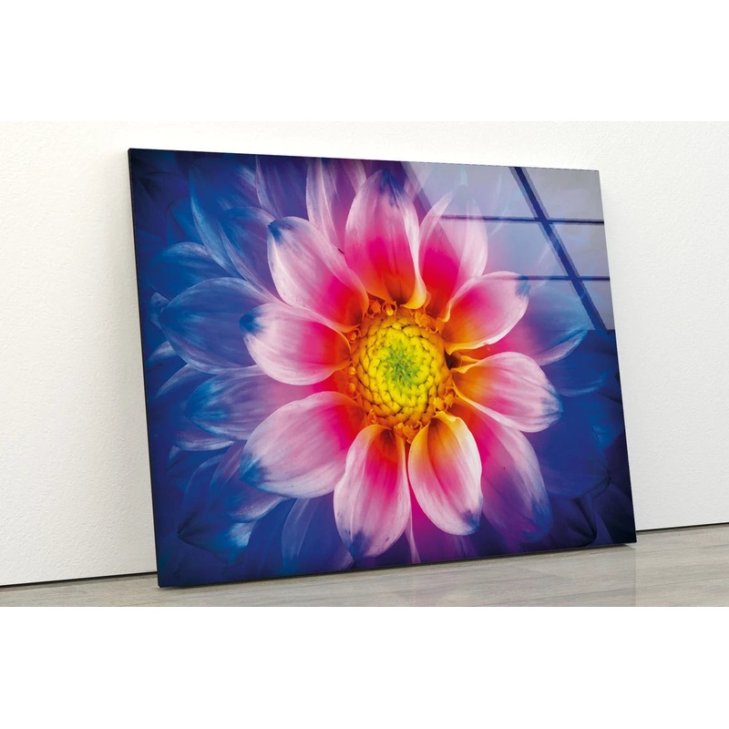 Pink Yellow Flower Closeup Photograph Acrylic Glass Print Tempered Glass Wall Art 100% Made in Australia Ready to Hang