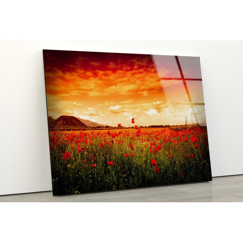Red Flower Field Sunset Scenery Photograph Acrylic Glass Print Tempered Glass Wall Art 100% Made in Australia Ready to Hang