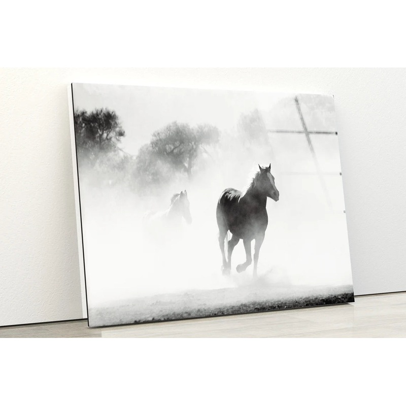 Running Horse Misty Photograph Acrylic Glass Print Tempered Glass Wall Art 100% Made in Australia Ready to Hang