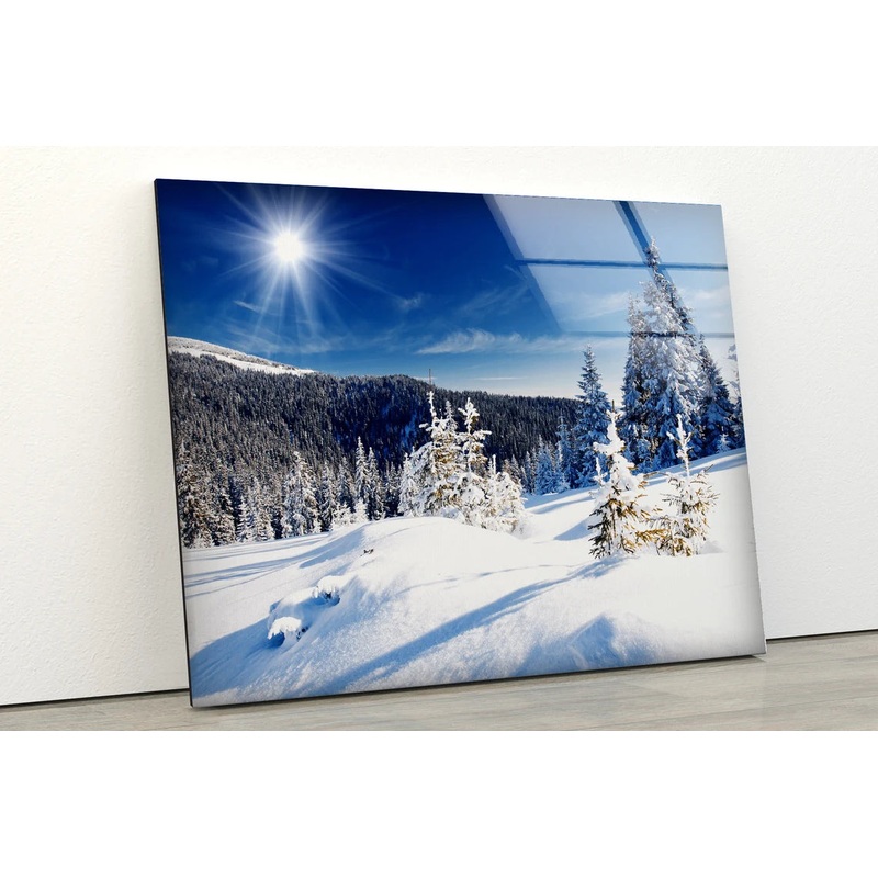 Snow Covered Forest Photograph Acrylic Glass Print Tempered Glass Wall Art 100% Made in Australia Ready to Hang