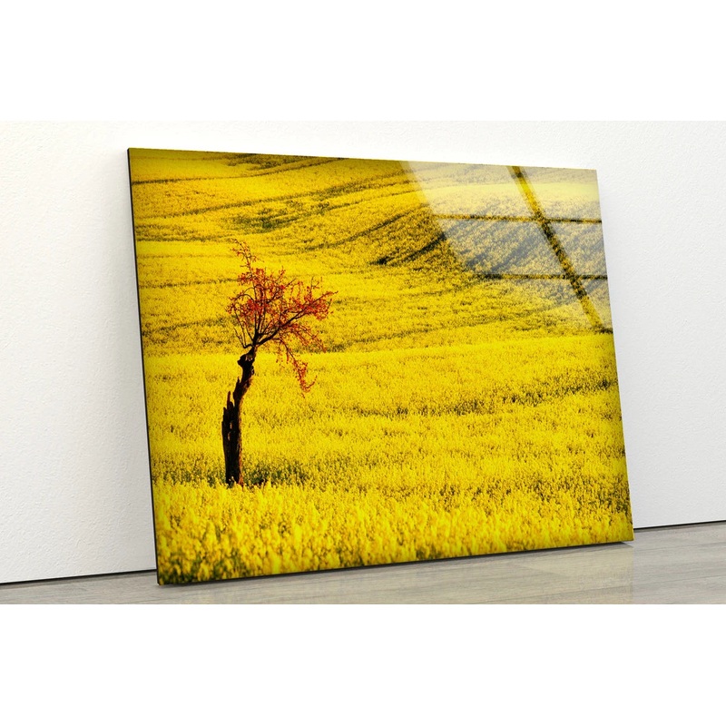 Tree on Yellow Flower Field Photograph Acrylic Glass Print Tempered Glass Wall Art 100% Made in Australia Ready to Hang