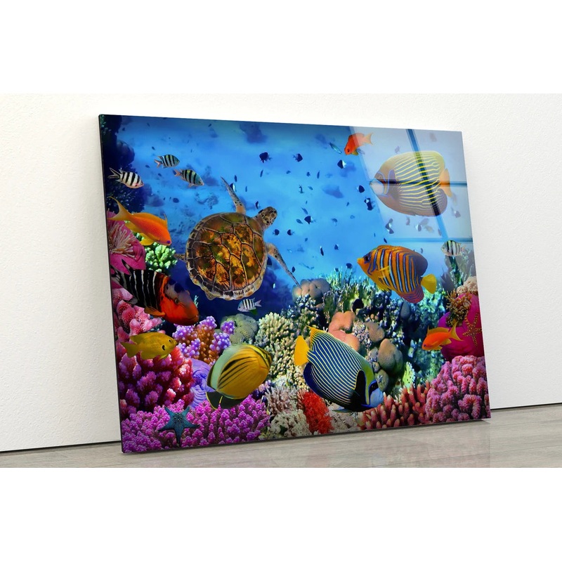 Under Water Fish & Corals Photograph Acrylic Glass Print Tempered Glass Wall Art 100% Made in Australia Ready to Hang