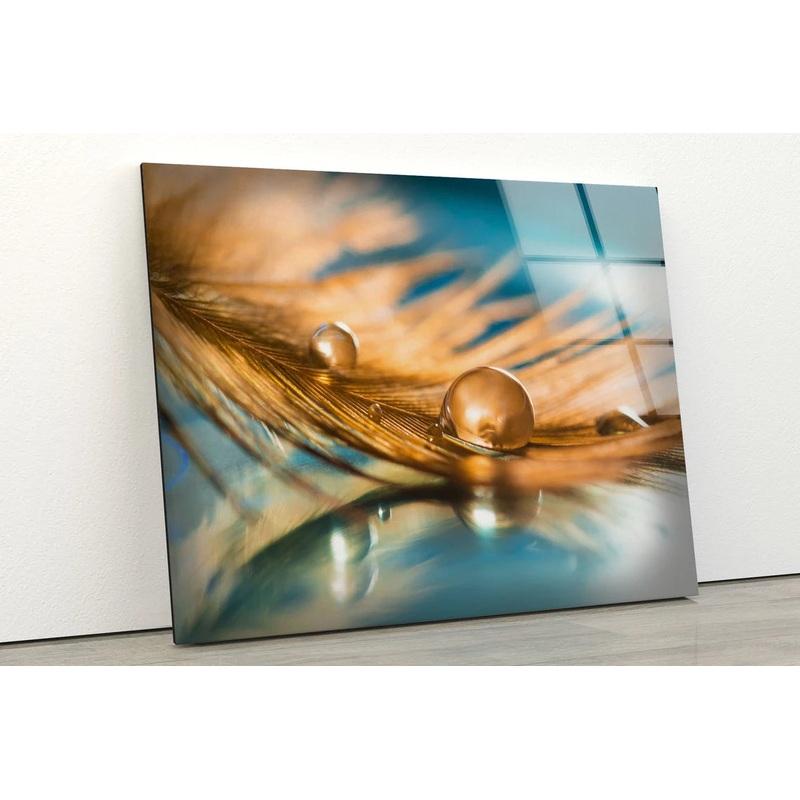 Waterdrop on Feather Photograph Acrylic Glass Print Tempered Glass Wall Art 100% Made in Australia Ready to Hang
