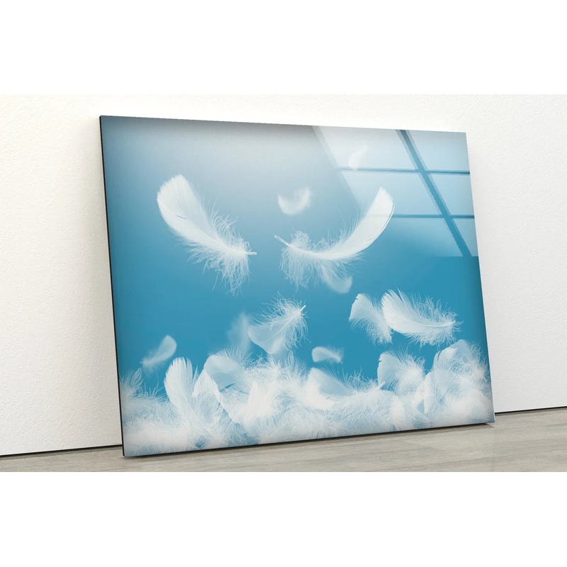 White Feathers Photograph Acrylic Glass Print Tempered Glass Wall Art 100% Made in Australia Ready to Hang