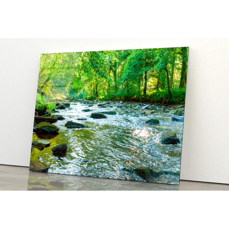 Along The River Barle in Tarr Steps Woodland Acrylic Glass Print Tempered Glass Wall Art 100% Made in Australia Ready to Hang
