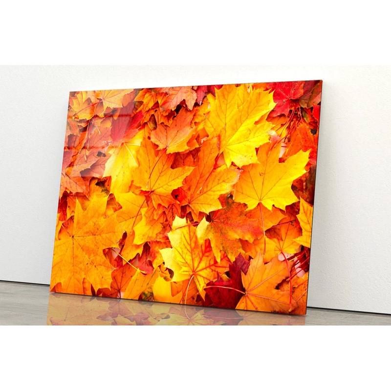 Autumn Orange Leaves Acrylic Glass Print Tempered Glass Wall Art 100% Made in Australia Ready to Hang