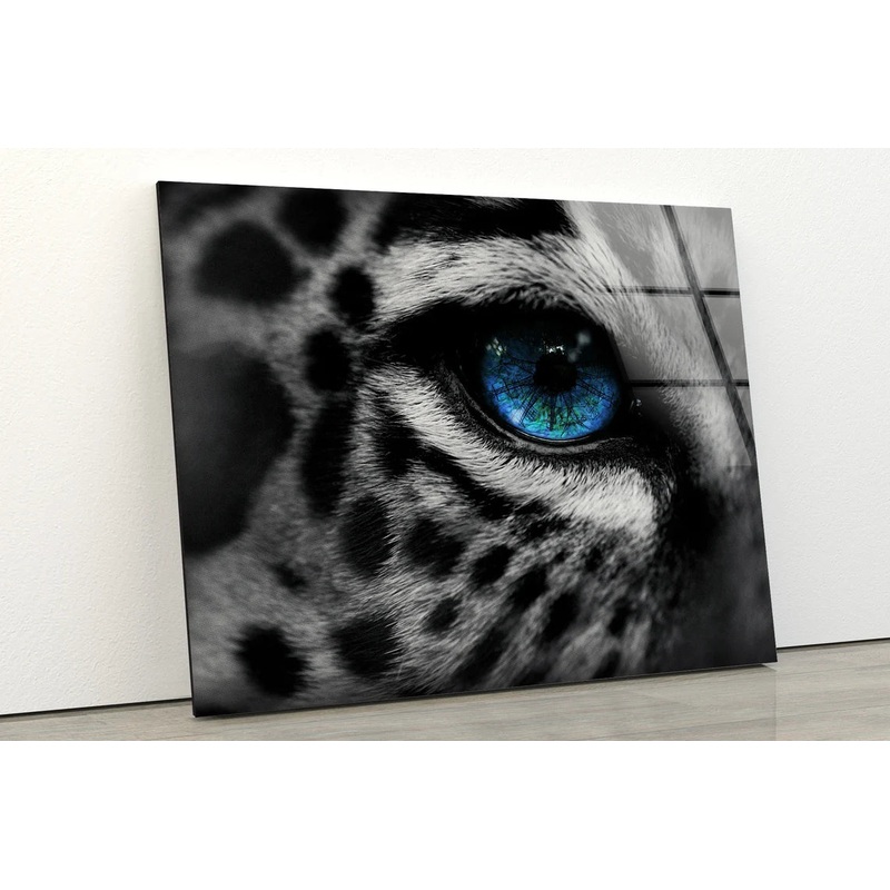 B&W Leopard Blue Eye Photograph Acrylic Glass Print Tempered Glass Wall Art 100% Made in Australia Ready to Hang