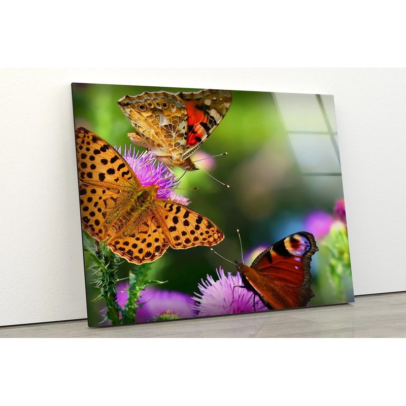 Butterflies on Flowers Photograph Acrylic Glass Print Tempered Glass Wall Art 100% Made in Australia Ready to Hang