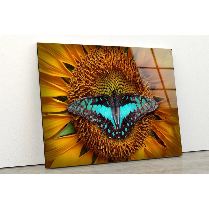 Butterfly on Sunflower Photograph Acrylic Glass Print Tempered Glass Wall Art 100% Made in Australia Ready to Hang