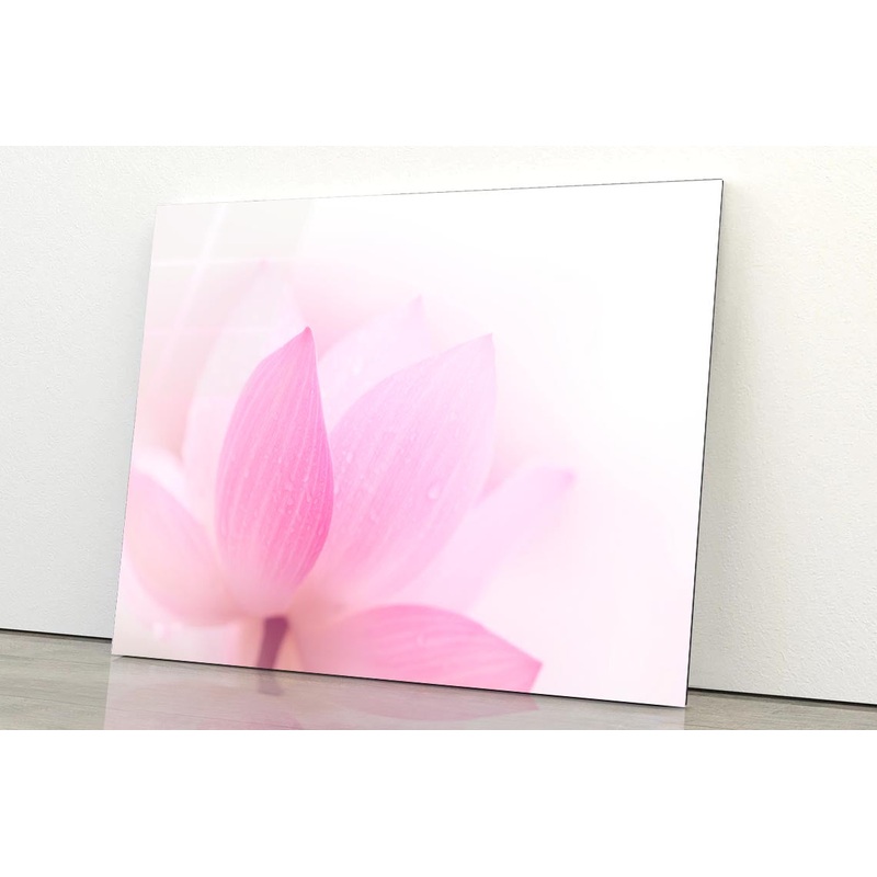 Closeup On Lotus Petal Acrylic Glass Print Tempered Glass Wall Art 100% Made in Australia Ready to Hang