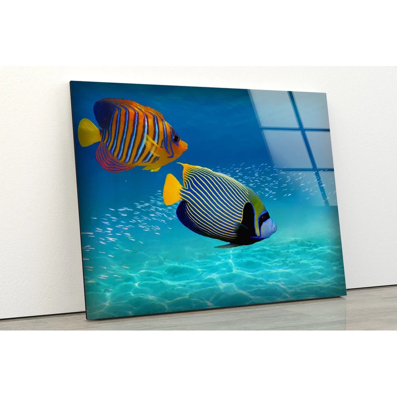 Colorful Fish in Sea Acrylic Glass Print Tempered Glass Wall Art 100% Made in Australia Ready to Hang