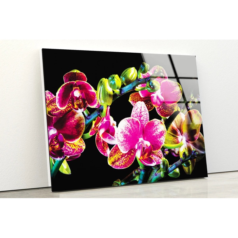 Colorful Orchid Flowers Photograph Acrylic Glass Print Tempered Glass Wall Art 100% Made in Australia Ready to Hang