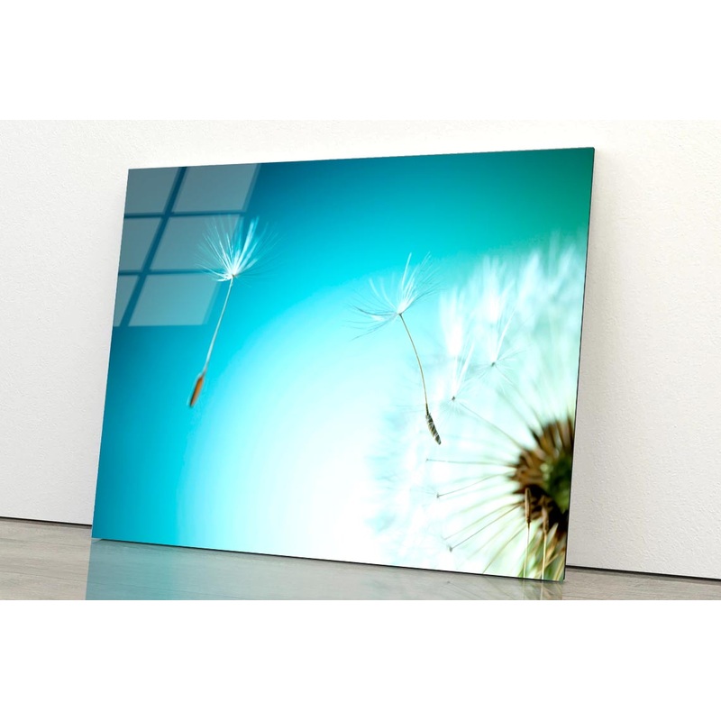 Dandelion Blowing in The Wind with A Blue Sky Acrylic Glass Print Tempered Glass Wall Art 100% Made in Australia Ready to Hang