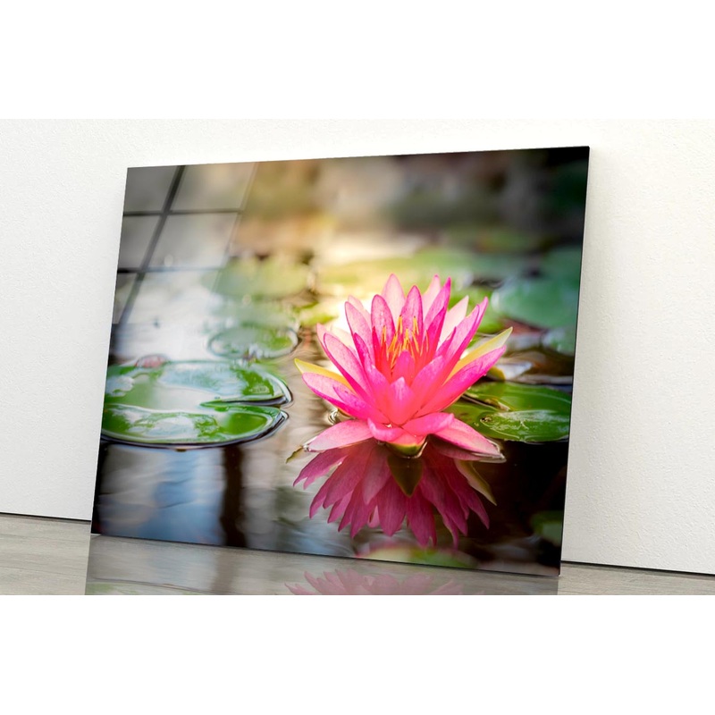 Pink Lotus On Water Acrylic Glass Print Tempered Glass Wall Art 100% Made in Australia Ready to Hang