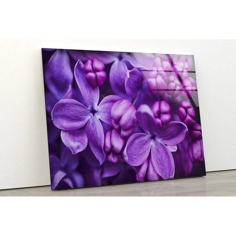Purple Flowers Closeup Photograph Acrylic Glass Print Tempered Glass Wall Art 100% Made in Australia Ready to Hang