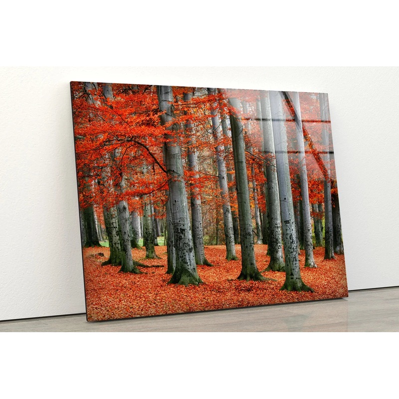 Red Leaves Tree Forest Photograph Acrylic Glass Print Tempered Glass Wall Art 100% Made in Australia Ready to Hang