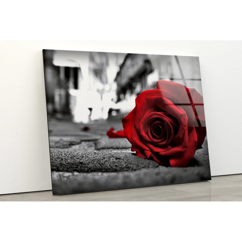 Rose Flower on Ground Photograph Acrylic Glass Print Tempered Glass Wall Art 100% Made in Australia Ready to Hang
