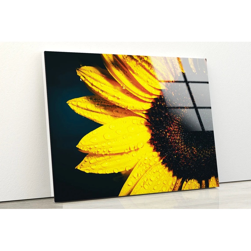 Sunflower Closeup Photograph Acrylic Glass Print Tempered Glass Wall Art 100% Made in Australia Ready to Hang