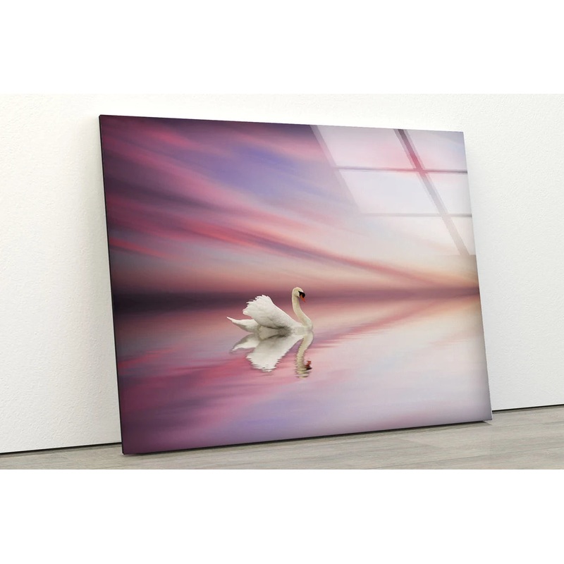 Swan on Lake Sunset Photograph Acrylic Glass Print Tempered Glass Wall Art 100% Made in Australia Ready to Hang