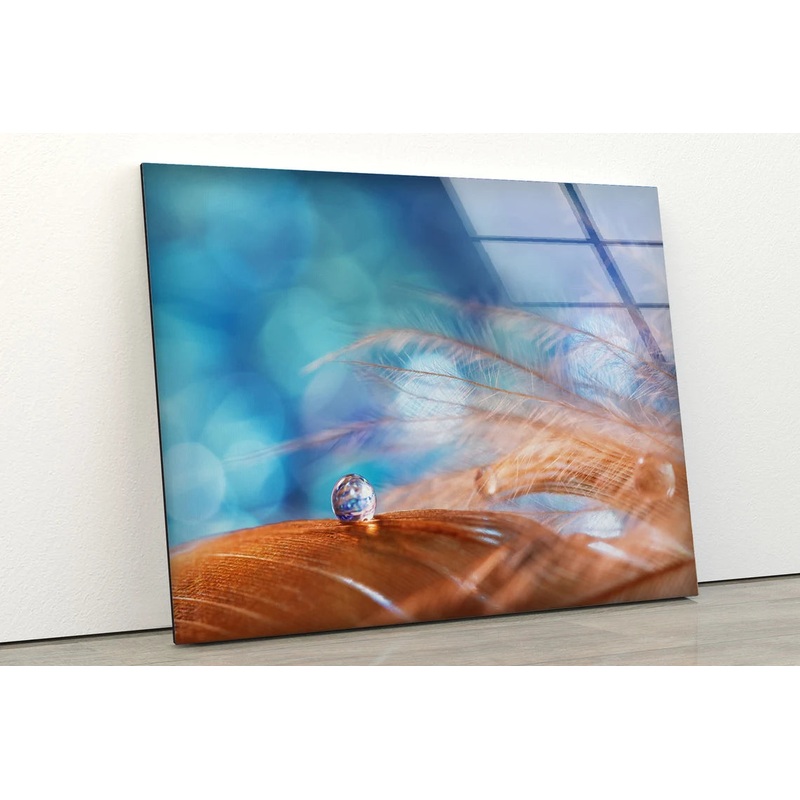 Waterdrops on Feathers Photograph Acrylic Glass Print Tempered Glass Wall Art 100% Made in Australia Ready to Hang