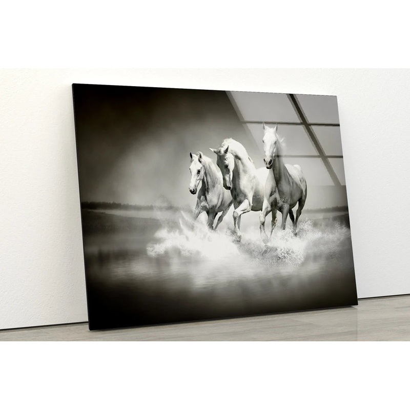 White Horse Running on Beach B&W Photograph Acrylic Glass Print Tempered Glass Wall Art 100% Made in Australia Ready to Hang