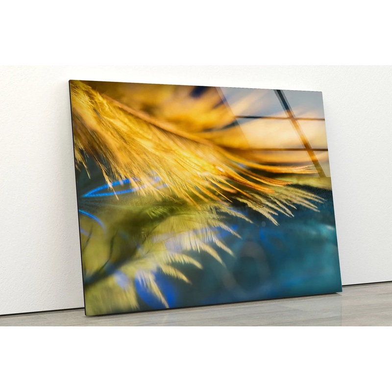 Yellow Feather Closeup Photograph Acrylic Glass Print Tempered Glass Wall Art 100% Made in Australia Ready to Hang