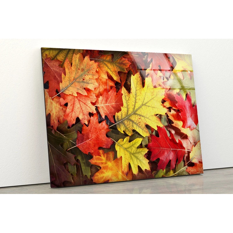 Autumn Tree Leaves Closeup Photograph Acrylic Glass Print Tempered Glass Wall Art 100% Made in Australia Ready to Hang