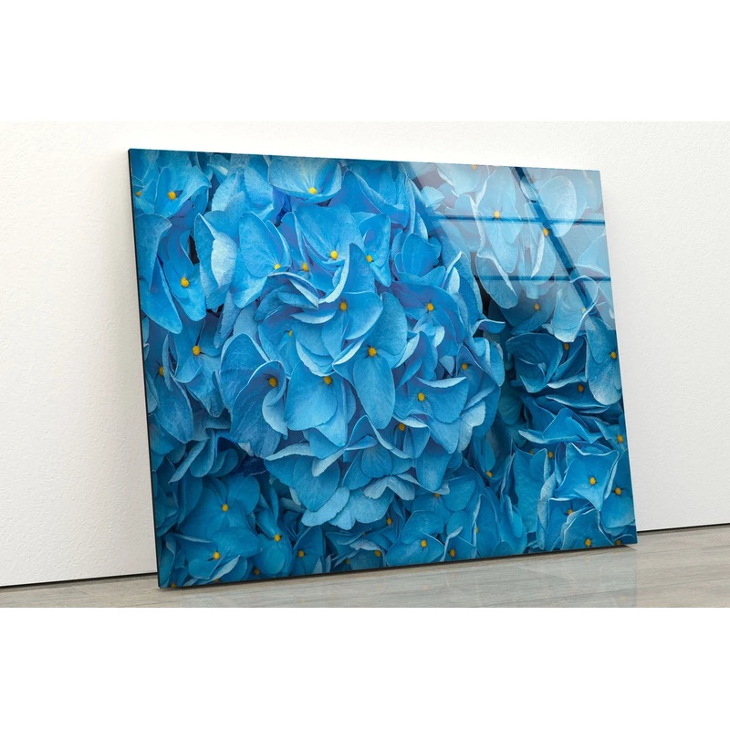 Blue Flowers Photograph Acrylic Glass Print Tempered Glass Wall Art 100% Made in Australia Ready to Hang