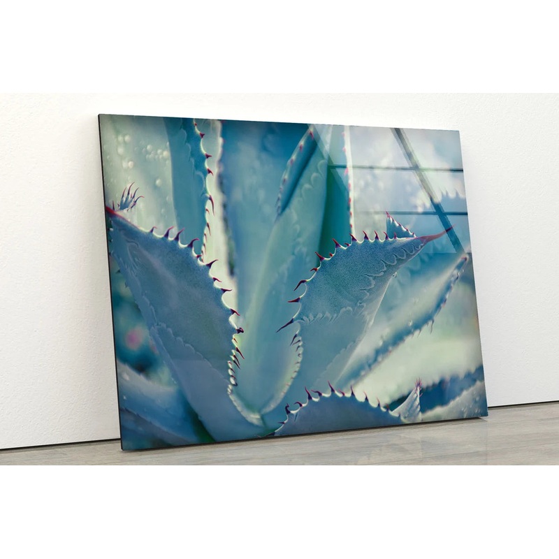 Blue Leaves with Spikes Photograph Acrylic Glass Print Tempered Glass Wall Art 100% Made in Australia Ready to Hang