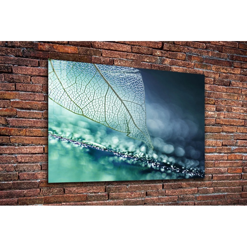 Blue Xray Leaf Digital Print Tempered Glass Wall Art 100% Made in Australia Ready to Hang
