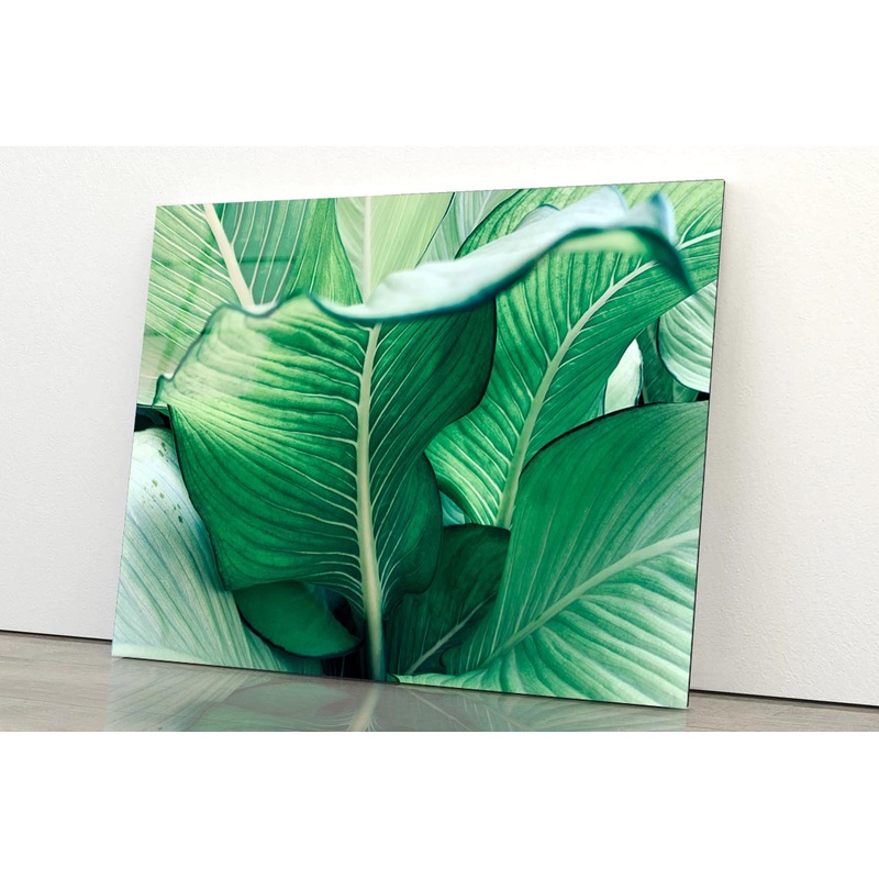 Bunch Of Leaves That Are Purple and Green Acrylic Glass Print Tempered Glass Wall Art 100% Made in Australia Ready to Hang
