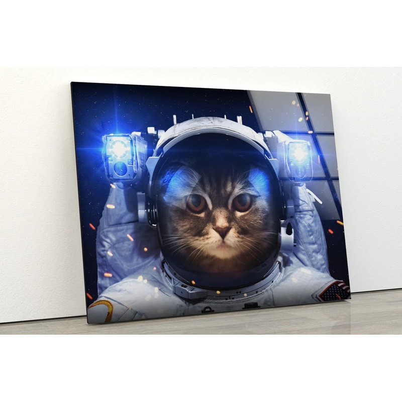 Cat in Astronaut Kit Photograph Acrylic Glass Print Tempered Glass Wall Art 100% Made in Australia Ready to Hang