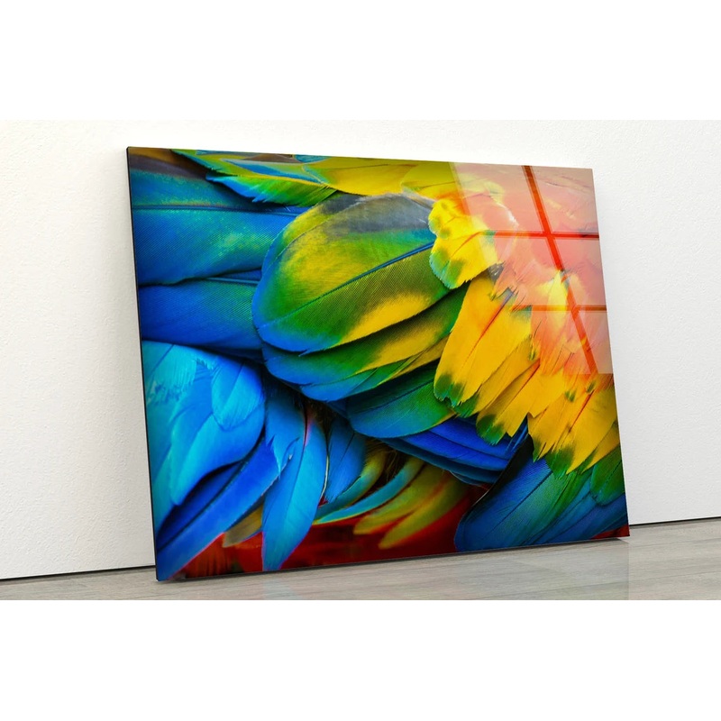 Colorful Feathers Closeup Photograph Acrylic Glass Print Tempered Glass Wall Art 100% Made in Australia Ready to Hang