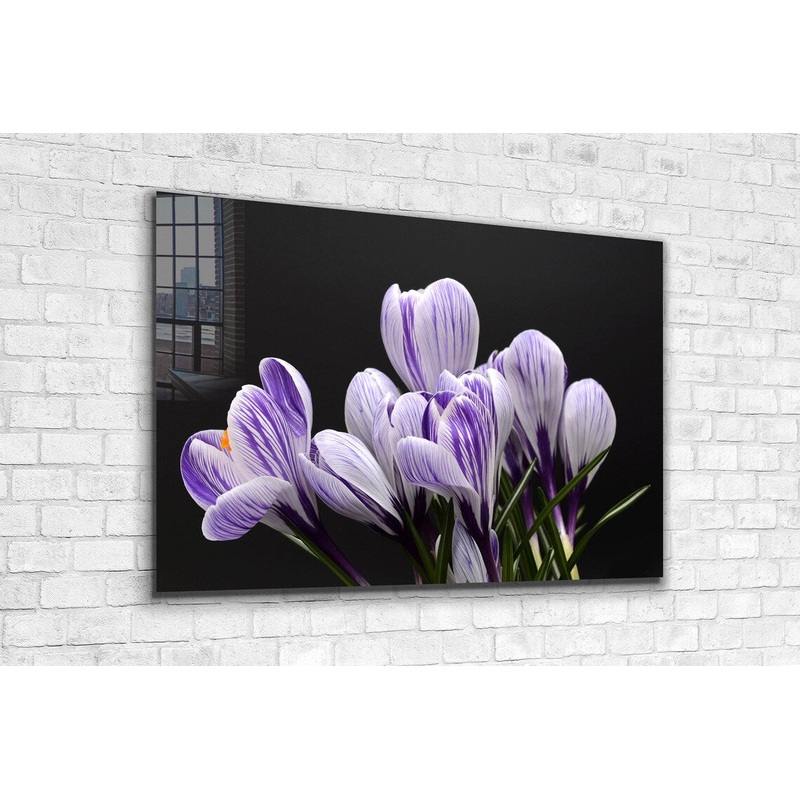 Crocus Violet Flowers Print Tempered Glass Wall Art 100% Made in Australia Ready to Hang