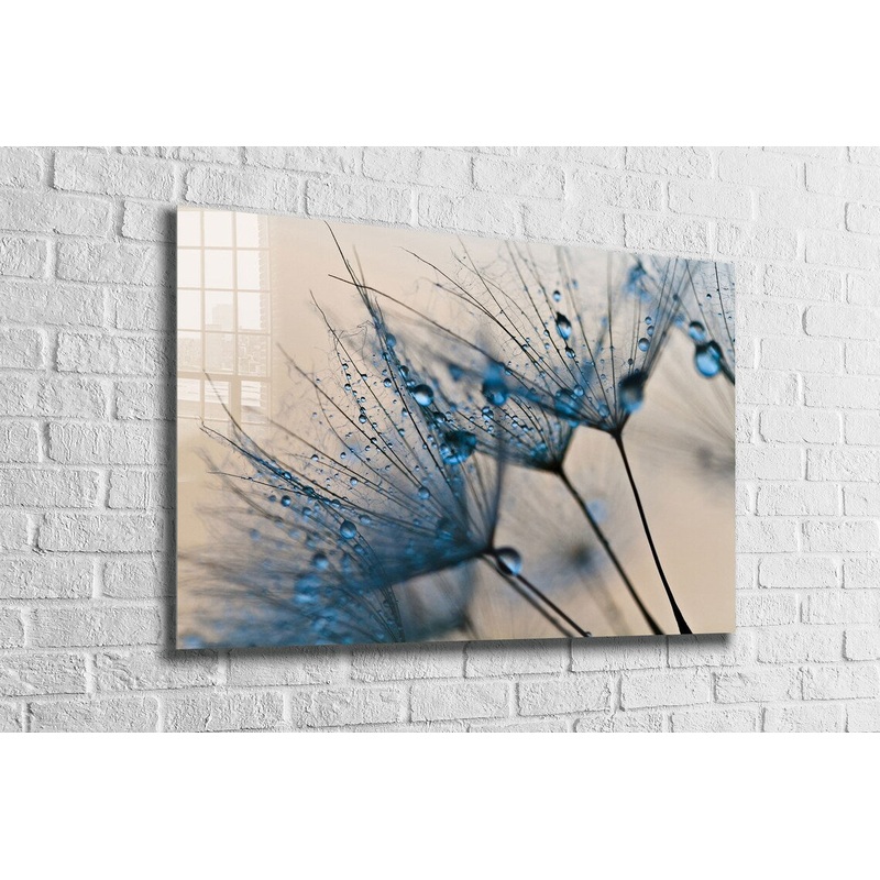 Dandelion Abstract View Print Tempered Glass Wall Art 100% Made in Australia Ready to Hang