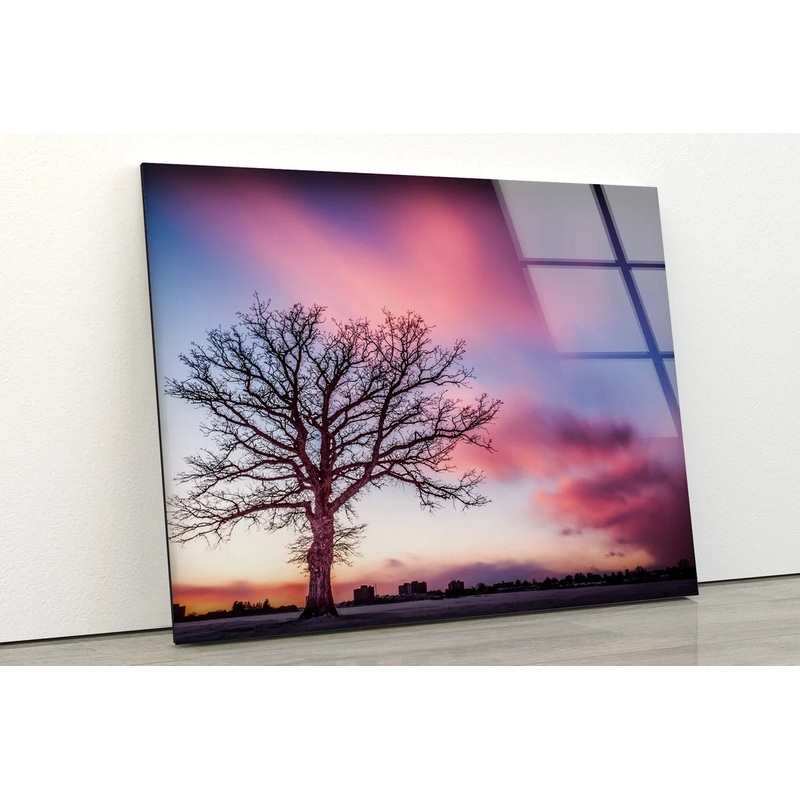Dead Tree & Sunset Sky Photograph Acrylic Glass Print Tempered Glass Wall Art 100% Made in Australia Ready to Hang