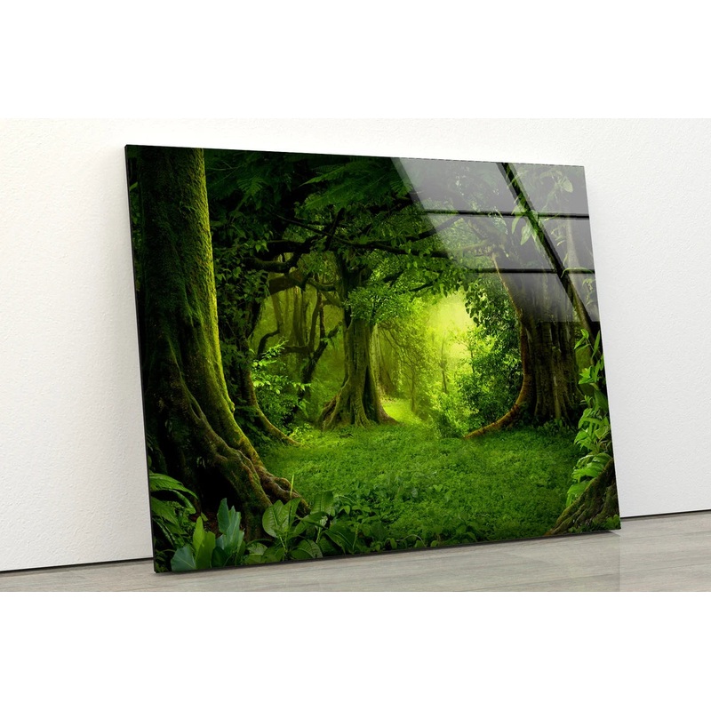 Deep Forest Photograph Acrylic Glass Print Tempered Glass Wall Art 100% Made in Australia Ready to Hang