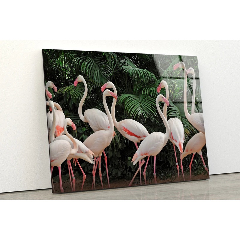 Flamingo Birds in Forest Photograph Acrylic Glass Print Tempered Glass Wall Art 100% Made in Australia Ready to Hang