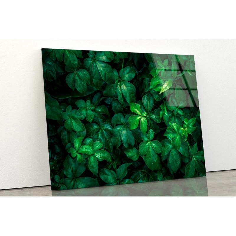 Foliage Of Tropical Leaf Acrylic Glass Print Tempered Glass Wall Art 100% Made in Australia Ready to Hang