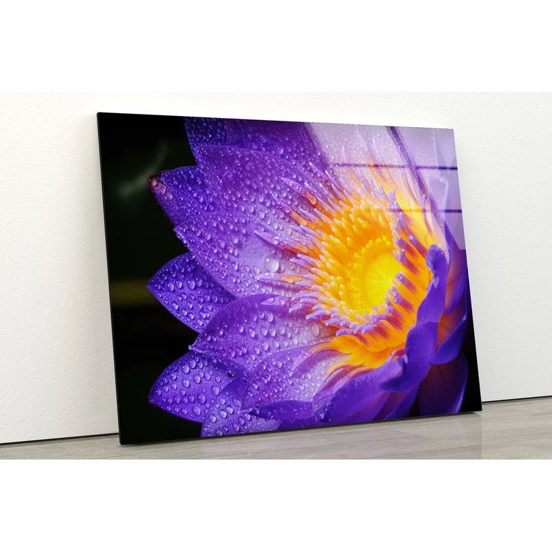 Purple Lotus Flower Closeup Photograph Acrylic Glass Print Tempered Glass Wall Art 100% Made in Australia Ready to Hang