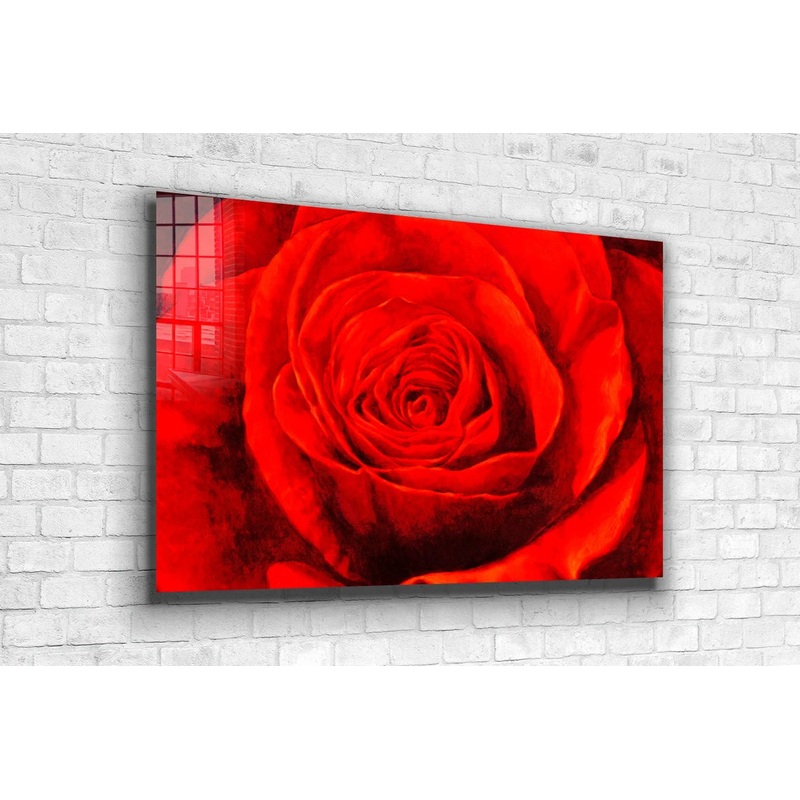 Red Rose Closeup View Print Tempered Glass Wall Art 100% Made in Australia Ready to Hang