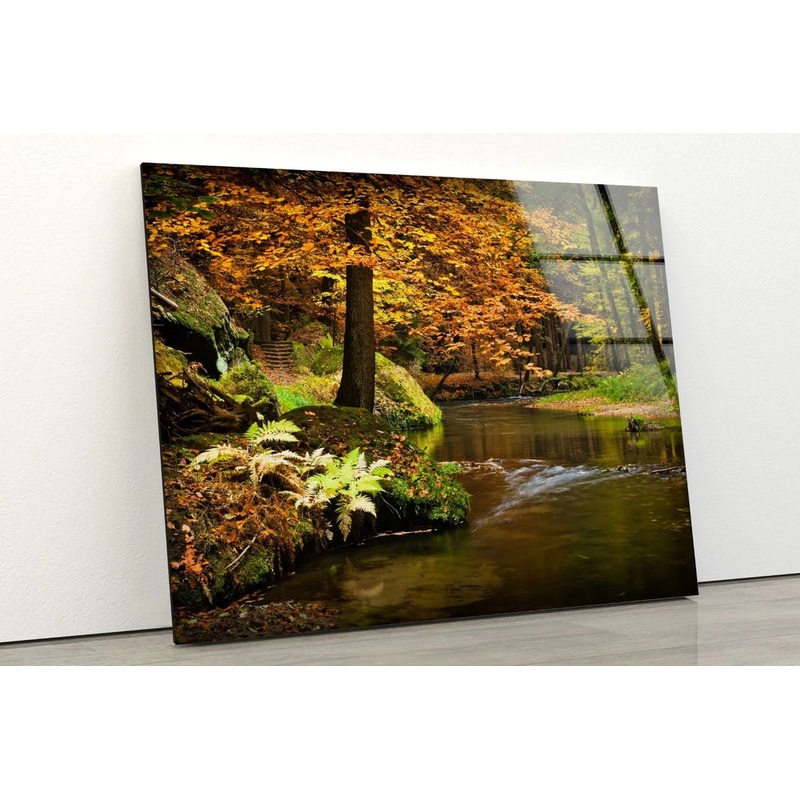River & Forest Photograph Acrylic Glass Print Tempered Glass Wall Art 100% Made in Australia Ready to Hang