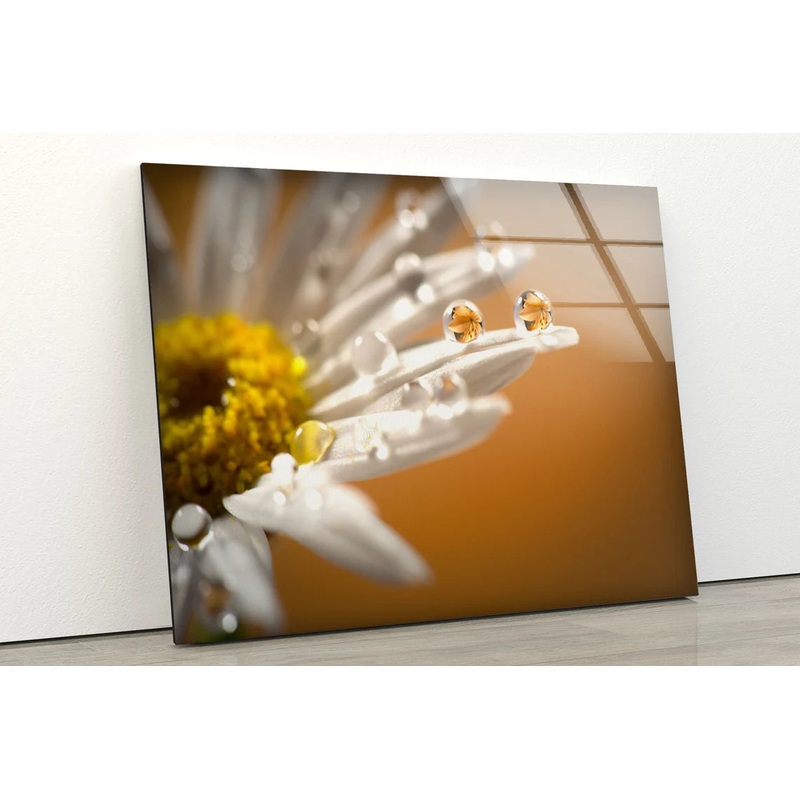 Waterdrops on White Flower Photograph Acrylic Glass Print Tempered Glass Wall Art 100% Made in Australia Ready to Hang