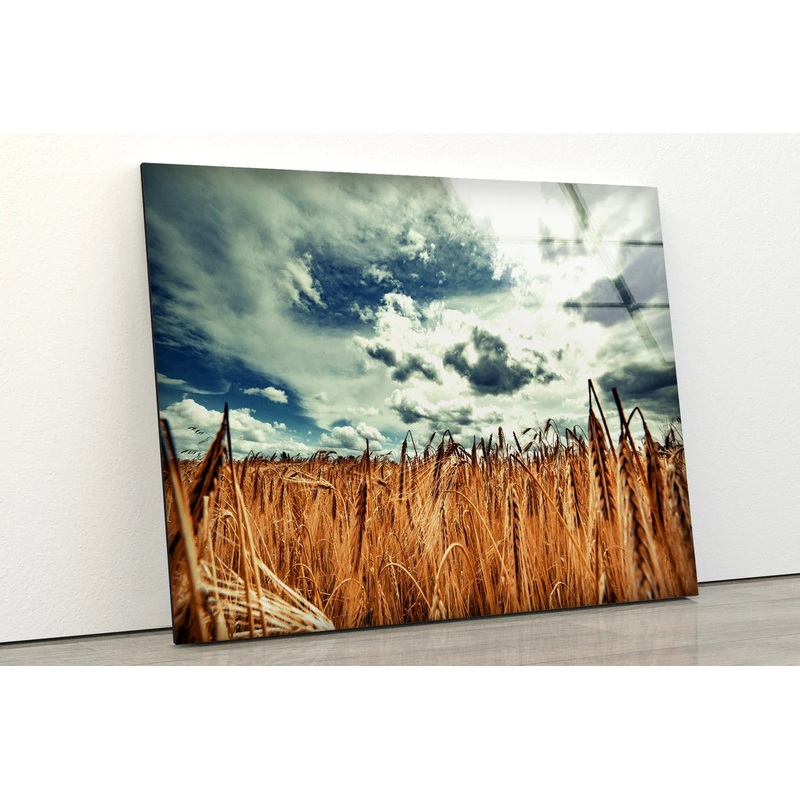 Wheat Field & Sky Photograph Acrylic Glass Print Tempered Glass Wall Art 100% Made in Australia Ready to Hang