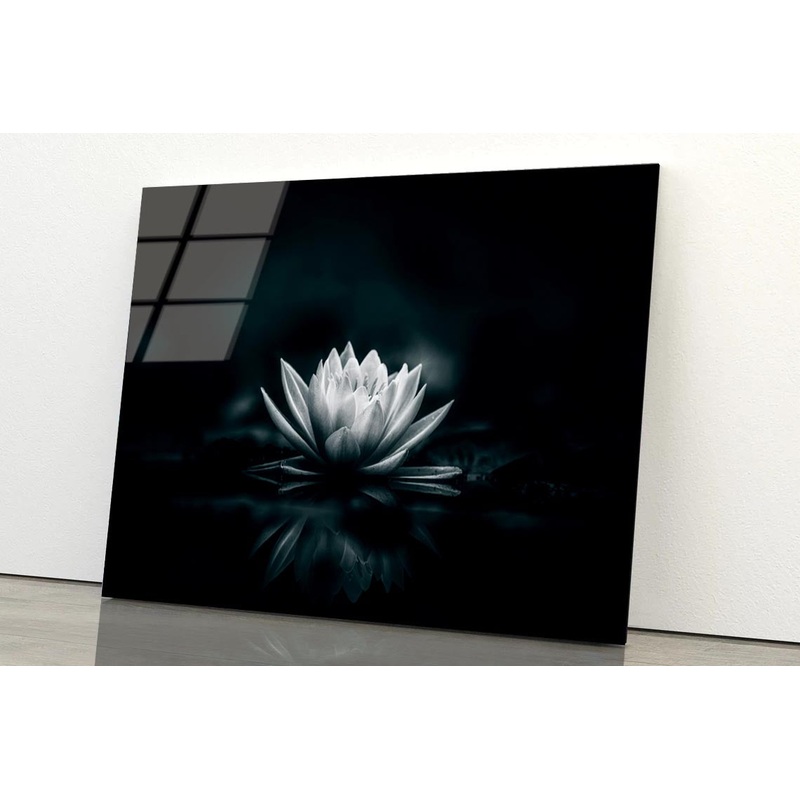 White Flower Is Sitting on A Black Surface Acrylic Glass Print Tempered Glass Wall Art 100% Made in Australia Ready to Hang